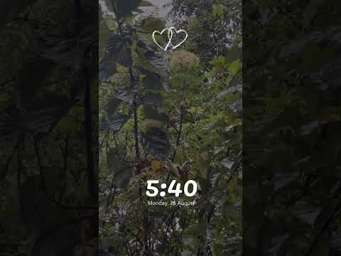 A feathered soul lingers on a branch, embraced by falling rain #nature #birds #sparrow #rain #views