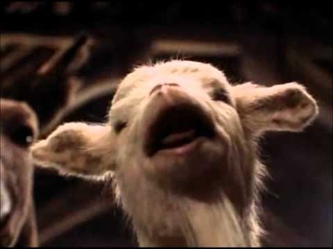 Animal Farm'