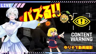 【content warning】年末怖い動画とればバズるんじゃないかと思ったゆりそ