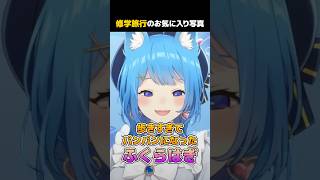 Vtuber、修学旅行の思い出【#ななしいんく /切り抜き】#shorts #vtuber