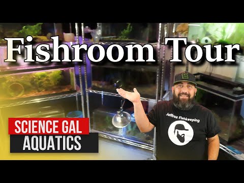 A Fishkeepers First Aquarium Thanks for stopping by my channel. In Today's video We go to Kerri and Jesse's house at Science Gal 