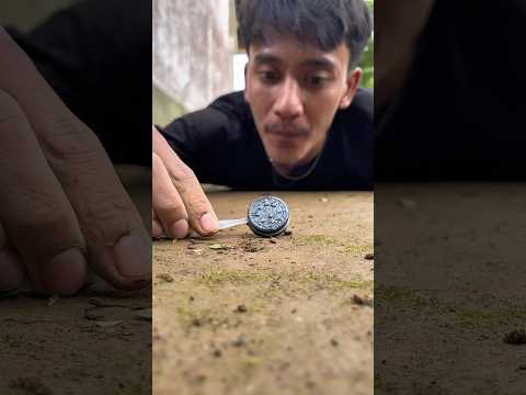 Get ready for a surprise, a millipede is going to show up and climb this lollipop #millipede #shorts