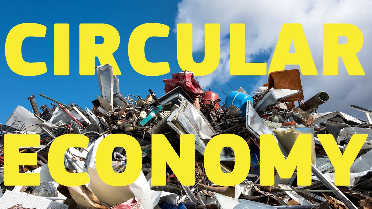 What is the circular economy?
