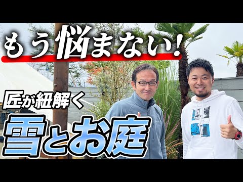 【コレしないと枯れる！】〇〇が原因だった！冬を乗り越えるテクニックを紹介！【植木】【植栽】