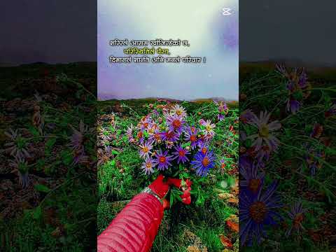 #sharir le aram khojirahexa..paristhitile paisa ... dimag le shanti ani man le pariwar 😔 #nature