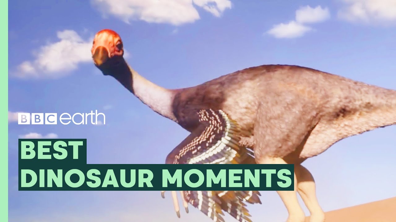 Dinosaurs: Just Big Chickens? | Best of Dinosaurs | BBC Earth
