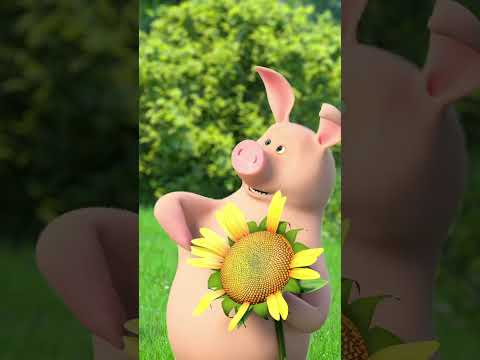 Ktoś tu zna wróżenie z płatków ❤️️ #Shorts #mashaandthebear #maszainiedźwiedź #KochaMnieCzyNie