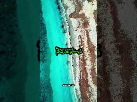 Qui a vraiment provoqué ton existence #5