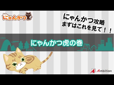 【にゃんかつ虎の巻】にゃんかつスタートダッシュのススメ🐾