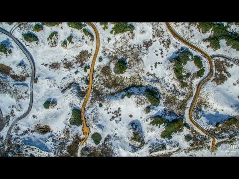 Video realizado por la propiedad