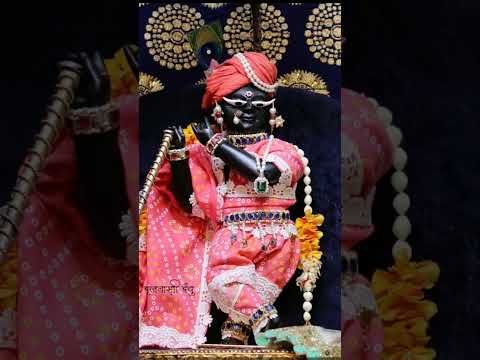 राधा रमन हरि बोल 🙏🙏#वृंदावनधाम #राधे_कृष्णा
