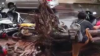 Chuvas promovem estragos em Londrina