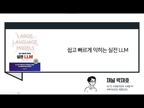 [독서광] 쉽고 빠르게 익히는 실전 LLM