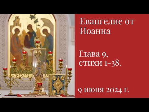 Евангелие от Иоанна глава 9 стихи 1-38