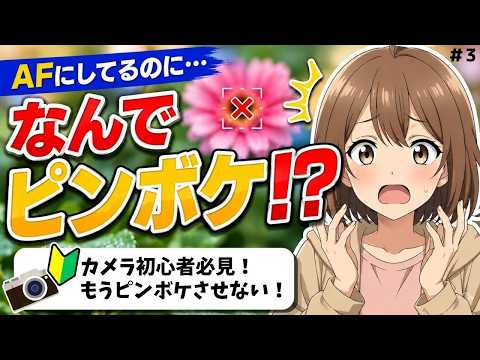 【初心者基礎講座#3】なぜAFでピンボケする?フォーカスエリアとAFモードを初心者向けに解説!