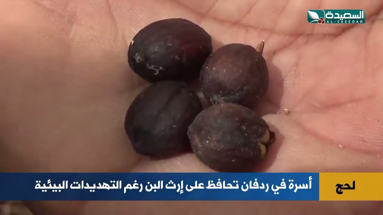 قناة السعيدة