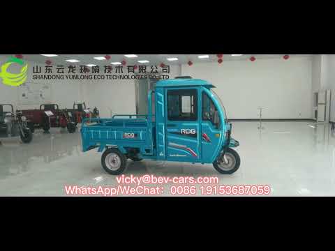 Electric cargo trike electric tricycle from Yunlong Motors