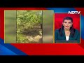 Jammu Kashmir Terror Attack: Kathua Attack के बाद आतंकियों के खिलाफ सेना का सर्च ऑपरेशन जारी  - 03:12 min - News - Video