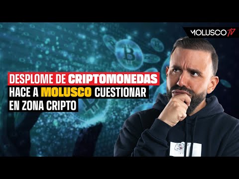 Desplome de criptomonedas hace a Molusco cuestionar en Zona Cripto