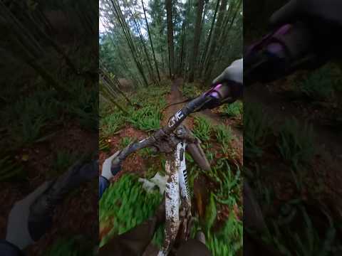 Too fast down this muddy trail!