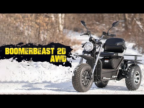 The Boomerbeast 2D MSRP is starting at $4999 USD