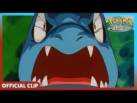 Pokemon TCG News