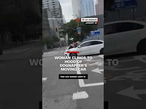 Woman clings to hood of dognapper’s car