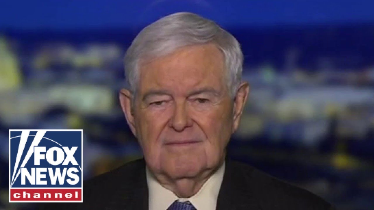Newt Gingrich: This regime is dedicated to the destruction of the West