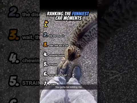 Ranking Funniest Cat Moments Part 6 #shorts #catshort #catrank #ranking
