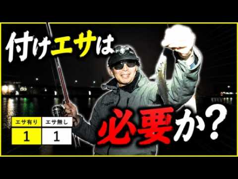 夜のサビキ釣りで「付けエサ」は必要なのか実釣検証してみた結果が衝撃だった！