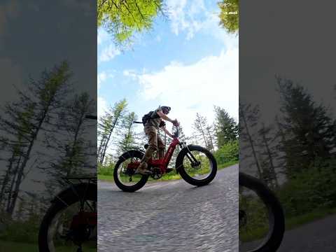 BeeCool Bikes | Ride Into a Better Life With BeeCool Beats