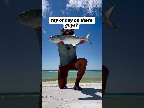 Top water! 🔥🔥 #flyfishing #fish #insta360 #insta360goultra @choonaclothing @insta360