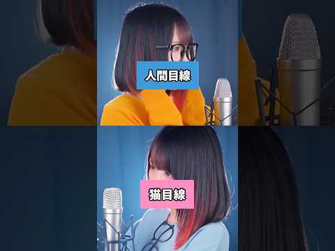 【眠くなったら寝る】2番「明日の私に幸あれ」本家様 × 