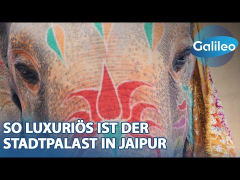 HERRSCHER vermietet sein PALAST! Ferienwohnung mal anders: Urlaub im Stadtpalast in Jaipur | Galileo