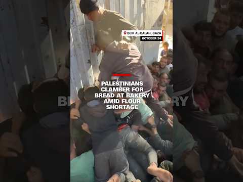 Palestinians clamber for bread at bakery amid flour shortage