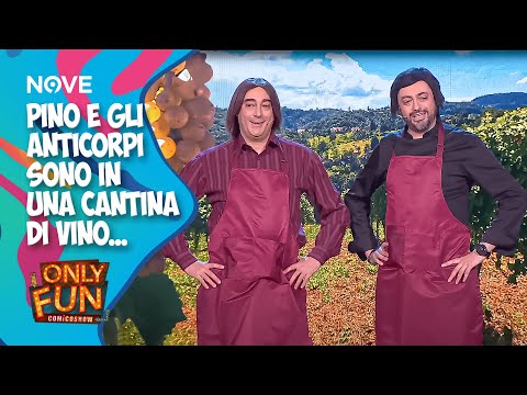 Pino e gli Anticorpi sono in una cantina di vino... | ONLY FUN