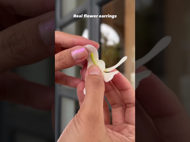 DIY real plumeria flowers earrings with me 🦢🤍 | Monalisha Mahapatra | #youtube #diy #indianfashion