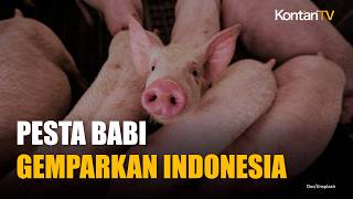 Soal Film Pesta Babi, Menko Yusril: Tidak Ada Larangan dari Pemerintah