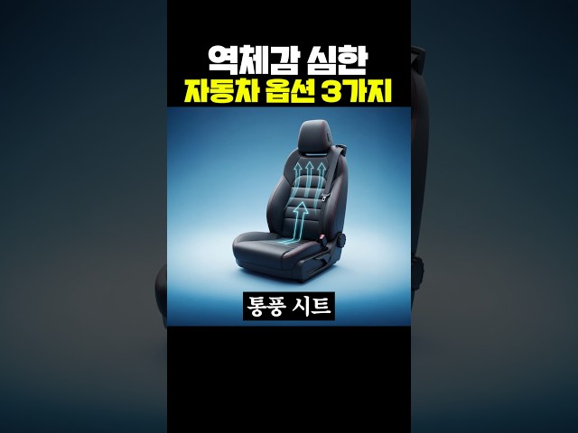 역체감 심한 자동차 옵션 3가지