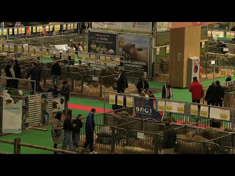 Paris Agricultural Show opens second day amid farmers' boycott and absence of cows | AFP