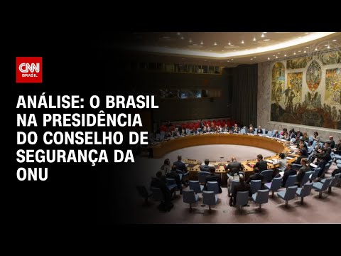 Análise: O Brasil na presidência do Conselho de Segurança da ONU | WW