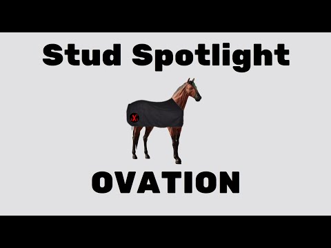 Ovation: The Greatest Stud in the Game? - Stud Spotlight EP1 - Photo Finish Live