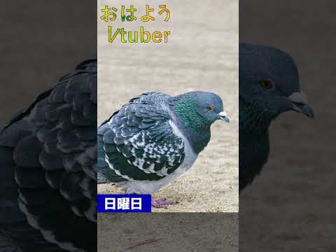 thumbnail_LFXqDrLVapA