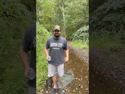Will Tuna Catch Minnows? #jesus #fishing #creek #kentucky #outdoors #smallcreek #trapping #fish