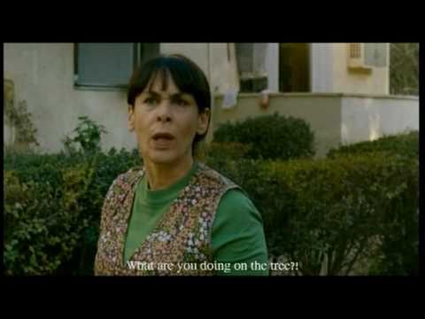 Hadikduk HaPnimi'