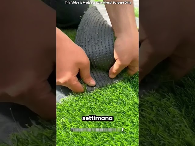 Papà ha messo l’erba finta in giardino 😱