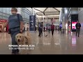 El aeropuerto de Detroit se vuelca en un ejercicio de adiestramiento de cachorros