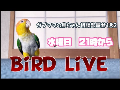 ガブママの鳥ちゃん相談部屋#182