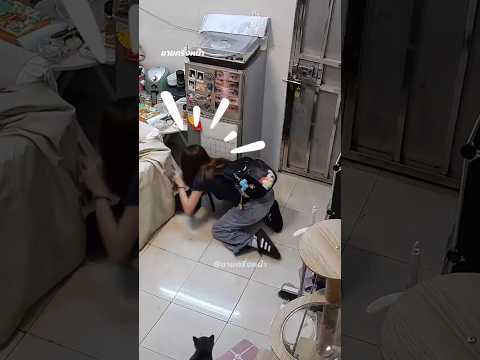 แมวเซอร์ไพรส์สิ่งนี้ให้กับเจ้าของ เมื่อเธอกลับมาถึงบ้าน!