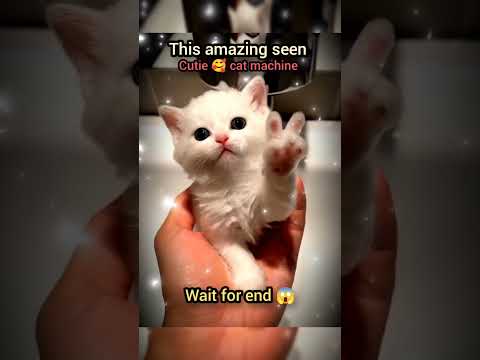 wait for end 😱 #trending#animals#wildlife#lion#shorts#youtube